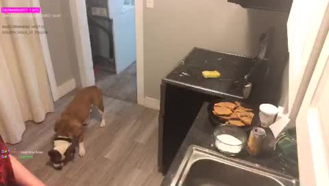 WuWednesday Cookies