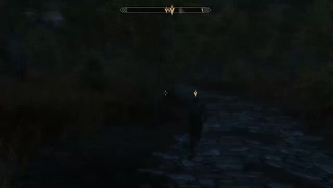 Terrible Gamer Occasionally Playing Moderately Well. Skyrim hardcore