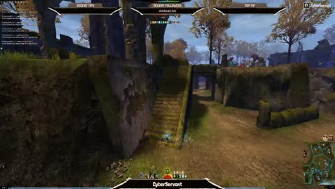 Guild Wars 2 - Pure Zerk WvW Roaming
