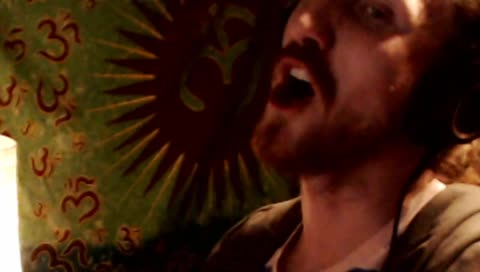 () o () ~ REQUESTS & VYBES ~ () o ()