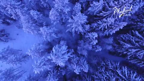 Playloud Live radio DAB+ Lille, France.