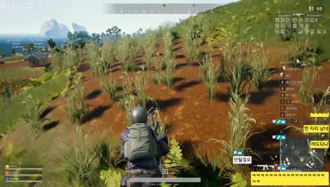 [배틀그라운드] Feat. 회사사람들