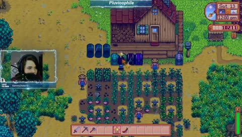 Ask Me About My Socks | Makin' Frans