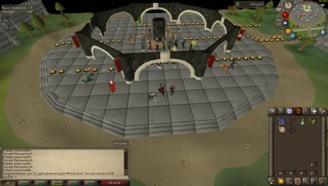 playing runescape and being a monkey