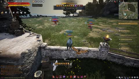 BDO / NOOB / NINJA / 