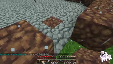 Birthday boy plays minecraft