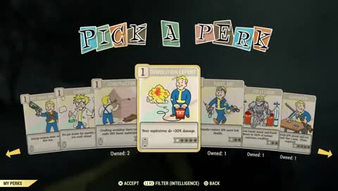 Fallout 76 cuz RD2 online still broked