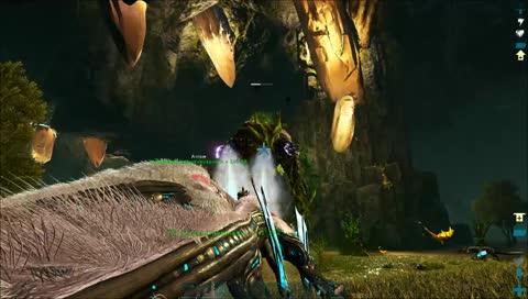 Hunting The Forest Titan