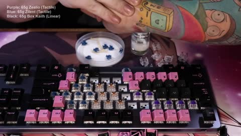 💣 [ZEAL][Ducky !Giveaway] Zeal switches came in! gunzPOG 🐱💋 !twitter !sub