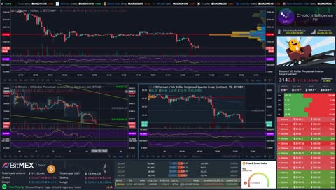 Ludicrous Crypto Trading & Technical Analysis - *Bulls are crying* BTC ETH Price Action #Article13