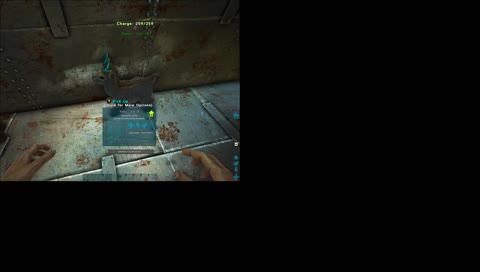 Ark...Dear Lawd