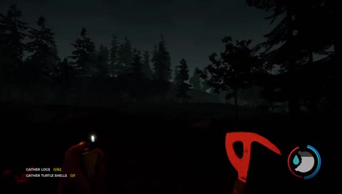 The Forest