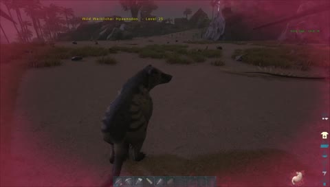lockeres Dinohauen || Ark