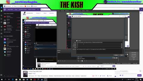 (Türkçe) Dayz Beta Geldi 