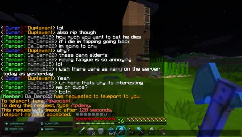 the dog wants to be a meme