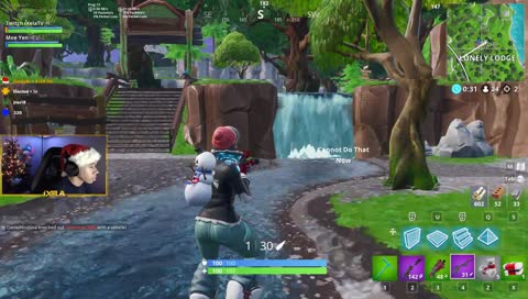 Festivities !ornament (Christmas emote btw)