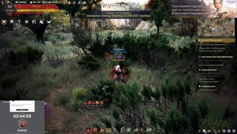 Возвращение BDO  