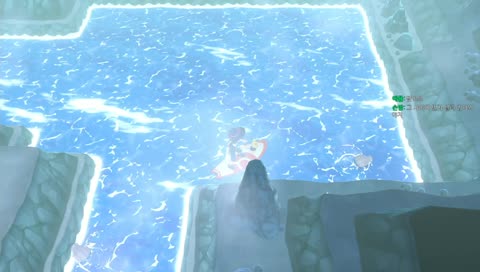 이로치 포켓몬을 찾아서..!!(10/150)
이로치 셀러 언제 나올래?!