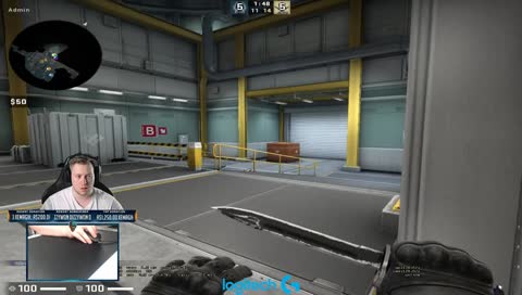 Did you ever play duck hunt?