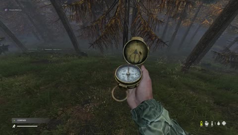 First Time Survivor | New Player | !steam | !discord