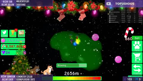 BIRTHDAY GAMES WITH DOGEREY!!!
