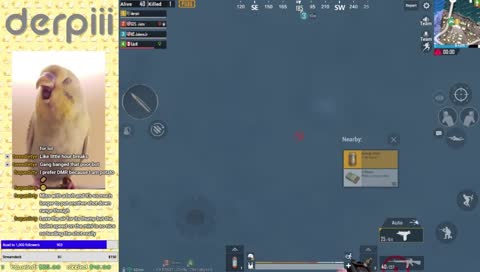 Squads with TS // Pro Player