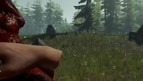Forest Scares! :D