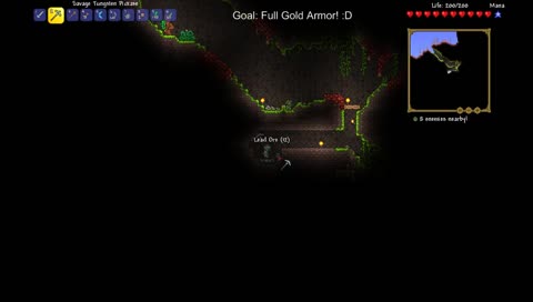 Terraria: Expert world. Die with me.