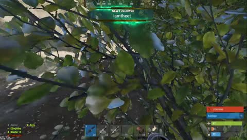 Playing with the boisss!!