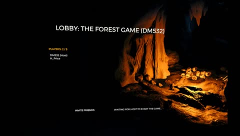 The Forest Vr With friends