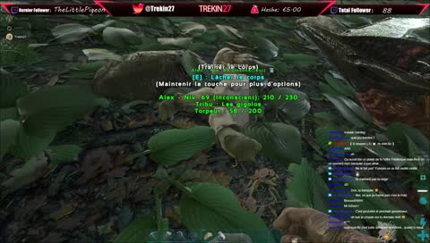 Ark The Center - Live Chill avec Don et Kikimoumoune