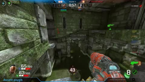 Ascent psygib POV - QOL S9