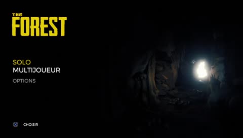 [FR/PS4Pro] Deux beaufs sur une île déserte.