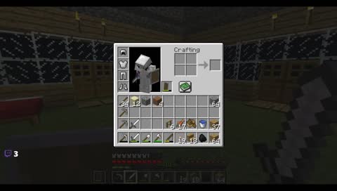 Minecraft Ender Dragon Run