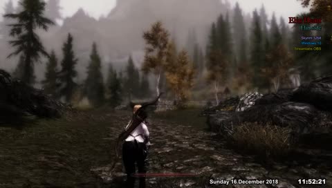 Elin Heart - Elin side [Skyrim LE]