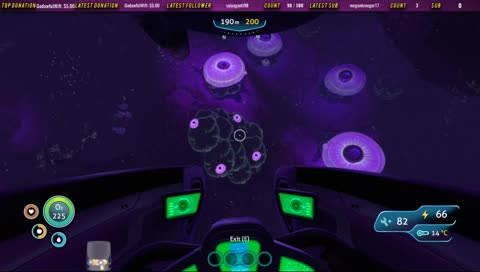 back to swimming with the fishes