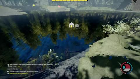 Jugando the forest