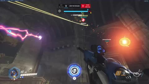 утренняя кормежка мастеров с руки