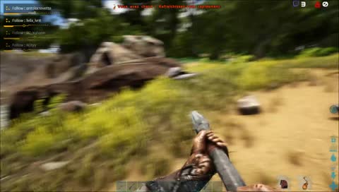 Ark