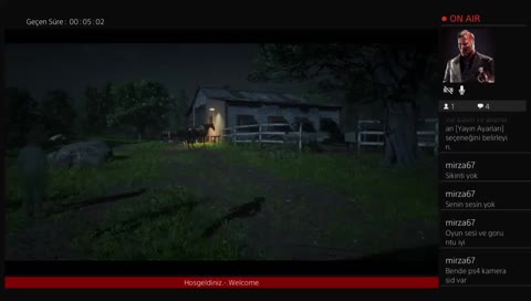 Red Dead Redemption 2 Online