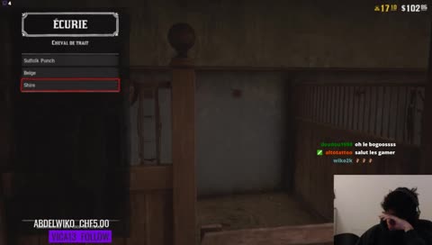 FR/ENG cyberbullying in red dead online