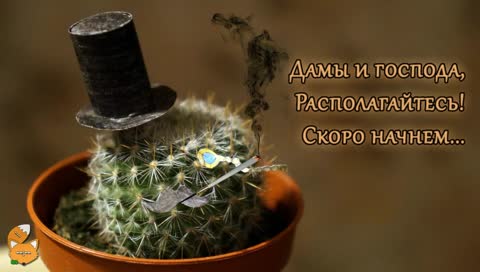 Посмотрите ка кто выполз!




