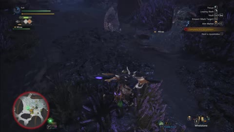 Beware! New Player Ahead (◕﹏◕)