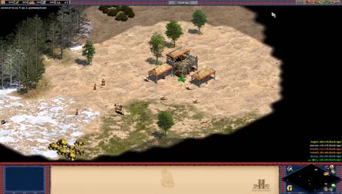 AOE2 fun