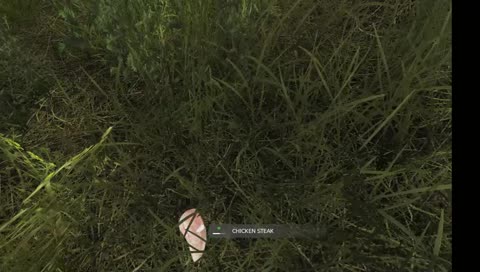 DayZ PC 1.0 on the DayZcore server 