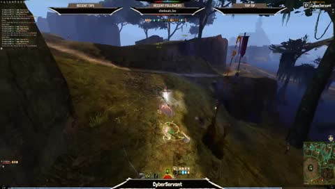 Guild Wars 2 - Pure Zerk WvW Roaming