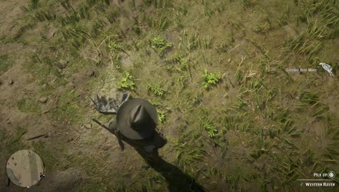 Playing Some Red Dead 