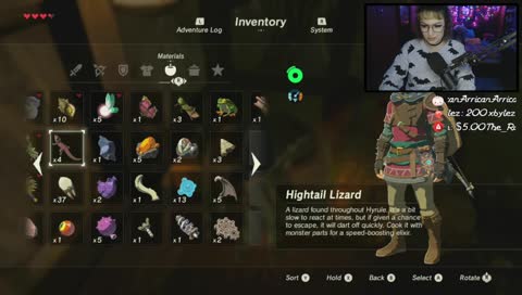 First Zelda Game!~ BOTW [Day 2] #charity 