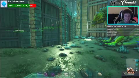 !chi-mas Sunday Shenanigans 2x base grind and tames!!