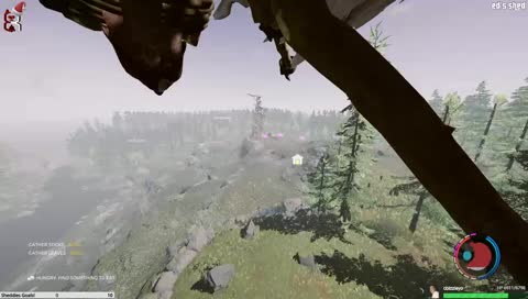 Ed's Shed in The Forest! Say Farewell to Lynchie!  [#BWNSFT #SDC #TWNN]